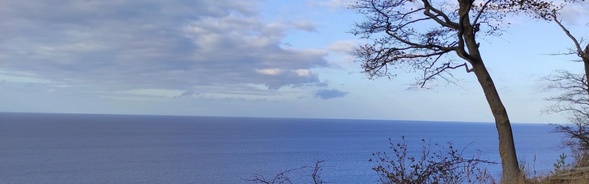 Ein herbstlicher Blick auf die ruhige Ostsee von einer Klippe aus. Ein karger Baum neigt sich zum Wasser, während Gräser und Sträucher im Vordergrund wachsen. Der Himmel ist teils bewölkt, teils blau, und vermittelt eine Atmosphäre von Ruhe und Weite – ein Symbol für den Weg des Lebens. Dieses Bild steht für die Begleitung und Unterstützung durch den Ambulanten Hospiz- und Kinderhospizdienst, der Menschen auf ihrem letzten Weg Beistand, Trost und Hoffnung schenkt.