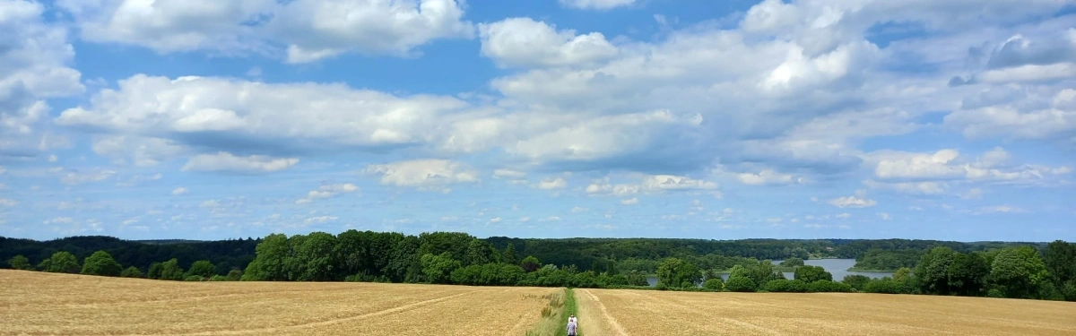 Ein idyllischer Sommerweg führt durch goldene Getreidefelder in Richtung eines ruhigen Sees, umgeben von dichten grünen Wäldern. Der Himmel ist weit und blau, mit weißen, sanft ziehenden Wolken. Eine einzelne Person geht auf dem schmalen Pfad, ein Symbol für den Weg des Lebens, den jeder auf seine eigene Weise beschreitet. Dieses Bild steht für Begleitung, Hoffnung und Fürsorge – Werte, die der Ambulante Hospiz- und Kinderhospizdienst verkörpert. In schweren Zeiten bietet die Hospizarbeit Trost und Unterstützung, um gemeinsam den letzten Weg behutsam zu gehen.