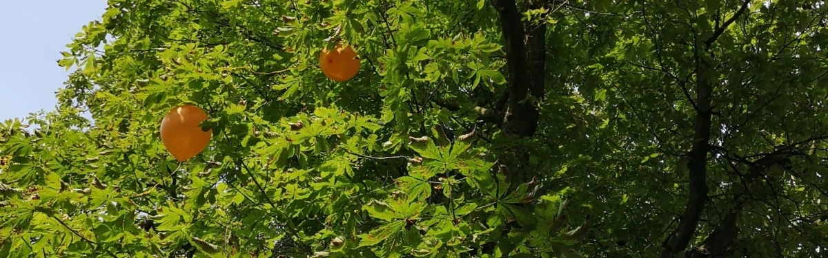 Ein grüner Baum mit dichtem Laub, in dessen Ästen mehrere orangefarbene Luftballons hängen. Der Himmel ist hell und klar, das Sonnenlicht fällt sanft durch das Blätterdach. Die schwebenden Ballons symbolisieren Leichtigkeit, Hoffnung und das Loslassen – Werte, die in der Hospizarbeit eine besondere Bedeutung haben. Der Ambulante Hospiz- und Kinderhospizdienst begleitet Familien in schweren Zeiten und schenkt Trost und Unterstützung auf dem letzten Weg.